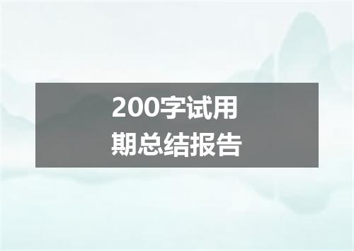 200字试用期总结报告