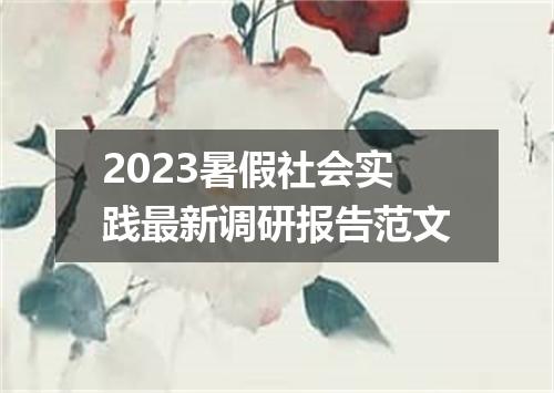 2023暑假社会实践最新调研报告范文