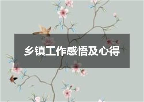 乡镇工作感悟及心得