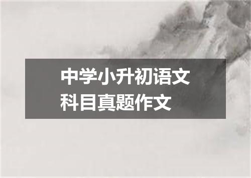 中学小升初语文科目真题作文