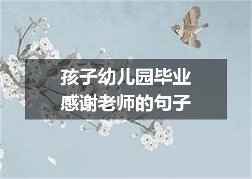 孩子幼儿园毕业感谢老师的句子