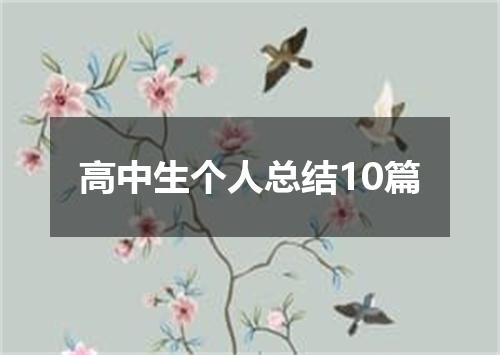 高中生个人总结10篇