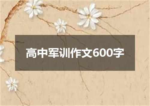 高中军训作文600字