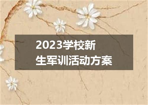 2023学校新生军训活动方案
