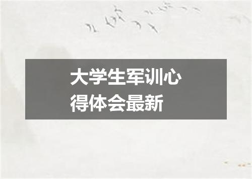大学生军训心得体会最新