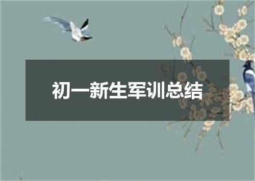 初一新生军训总结