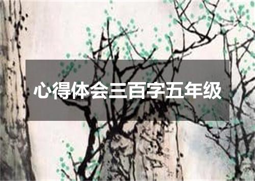 心得体会三百字五年级