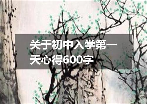 关于初中入学第一天心得600字