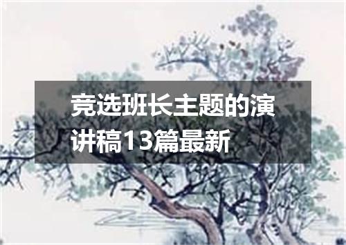竞选班长主题的演讲稿13篇最新