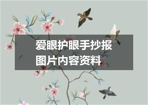 爱眼护眼手抄报图片内容资料