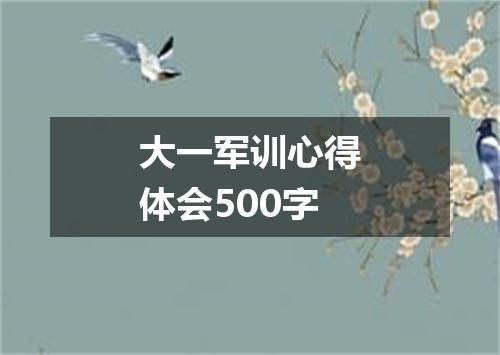 大一军训心得体会500字