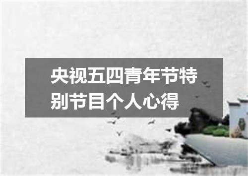 央视五四青年节特别节目个人心得