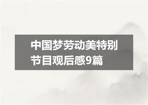 中国梦劳动美特别节目观后感9篇