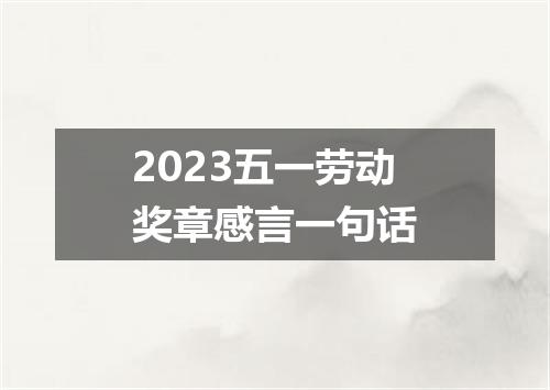 2023五一劳动奖章感言一句话