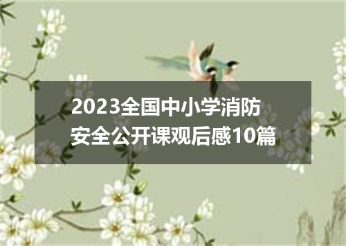 2023全国中小学消防安全公开课观后感10篇