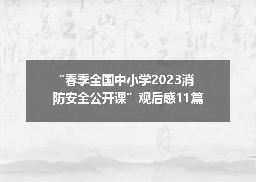 “春季全国中小学2023消防安全公开课”观后感11篇