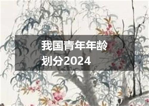 我国青年年龄划分2024