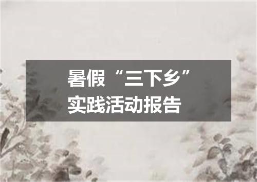 暑假“三下乡”实践活动报告