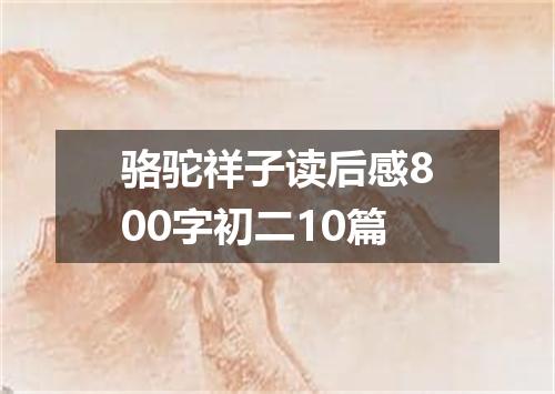 骆驼祥子读后感800字初二10篇