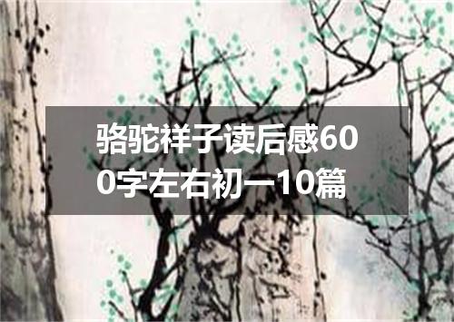 骆驼祥子读后感600字左右初一10篇
