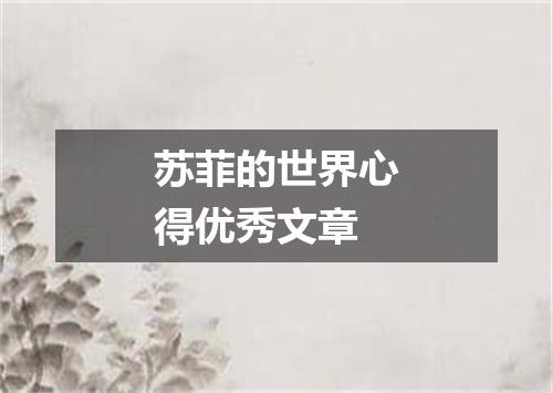 苏菲的世界心得优秀文章