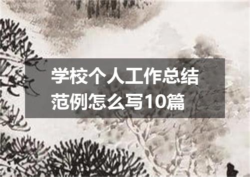 学校个人工作总结范例怎么写10篇