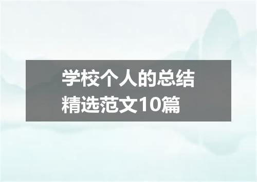 学校个人的总结精选范文10篇