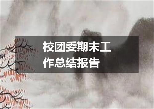 校团委期末工作总结报告