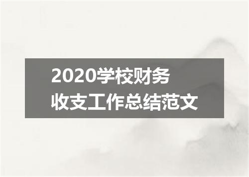 2020学校财务收支工作总结范文