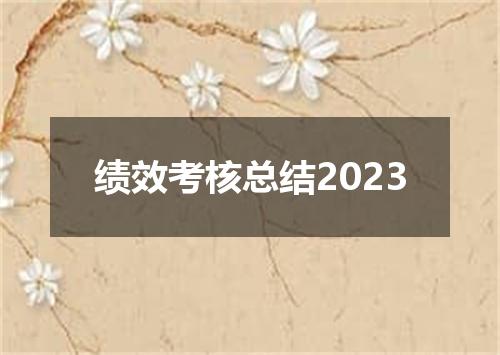 绩效考核总结2023