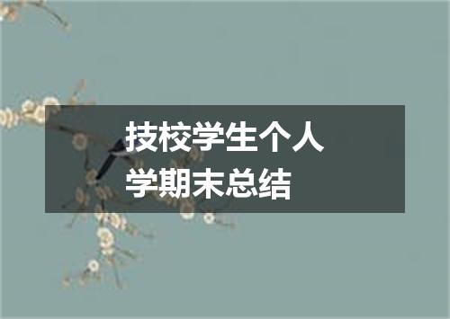 技校学生个人学期末总结