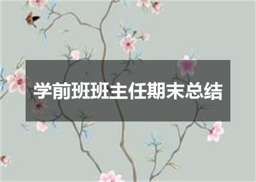 学前班班主任期末总结