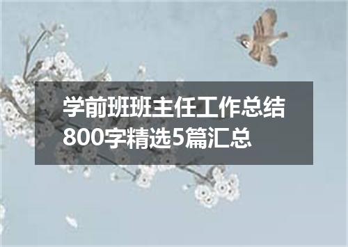 学前班班主任工作总结800字精选5篇汇总