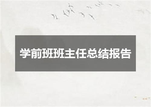 学前班班主任总结报告