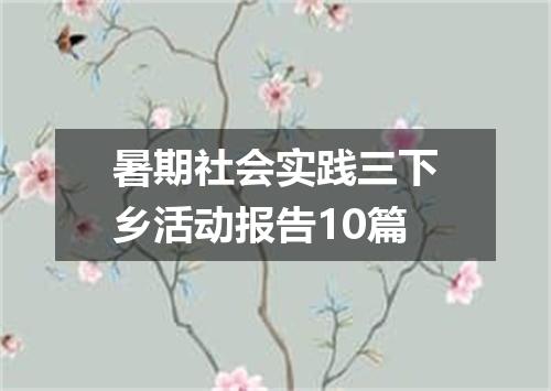 暑期社会实践三下乡活动报告10篇