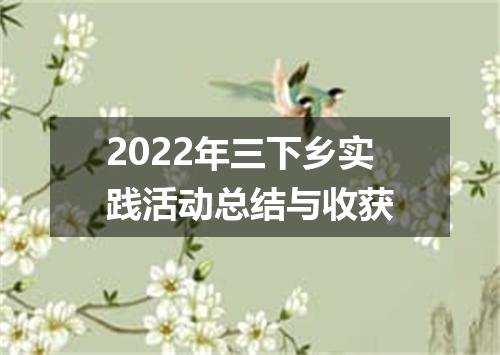 2022年三下乡实践活动总结与收获