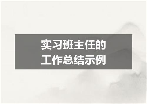 实习班主任的工作总结示例