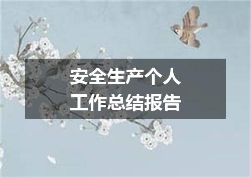 安全生产个人工作总结报告
