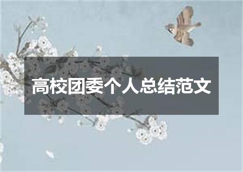 高校团委个人总结范文