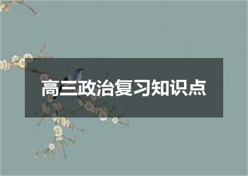 高三政治复习知识点