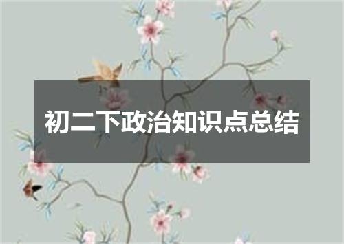 初二下政治知识点总结