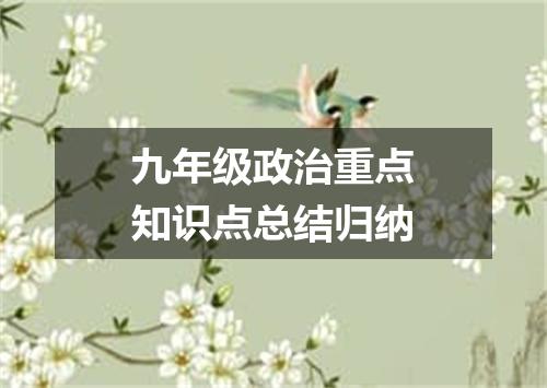 九年级政治重点知识点总结归纳