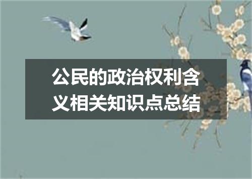 公民的政治权利含义相关知识点总结