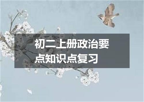 初二上册政治要点知识点复习