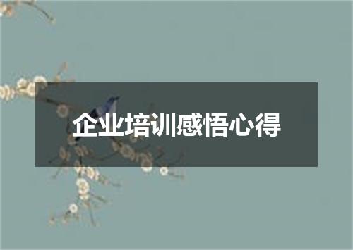 企业培训感悟心得