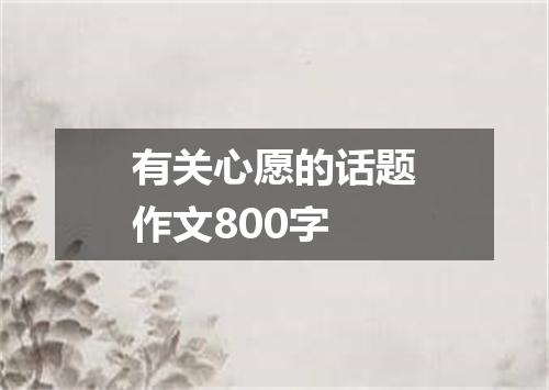 有关心愿的话题作文800字