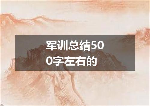 军训总结500字左右的