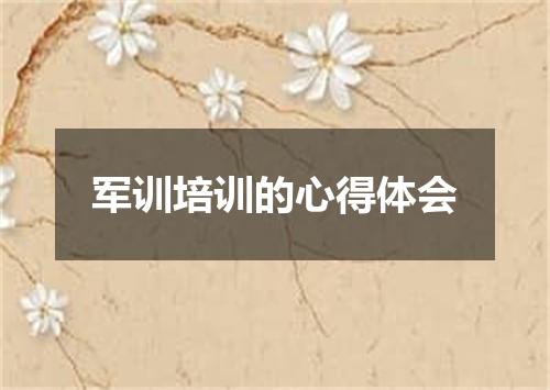 军训培训的心得体会
