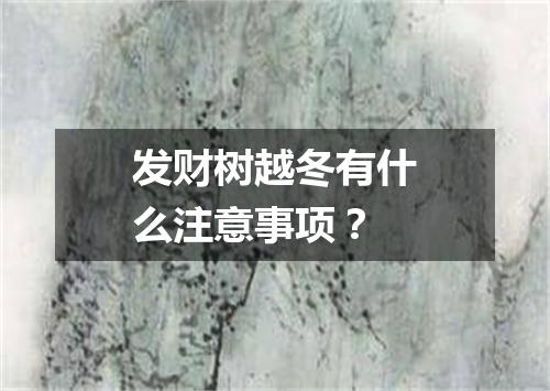 发财树越冬有什么注意事项？