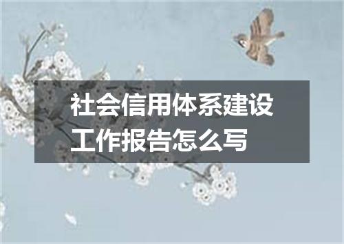 社会信用体系建设工作报告怎么写